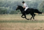 Pegasus III