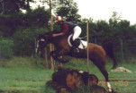 Saphir-133